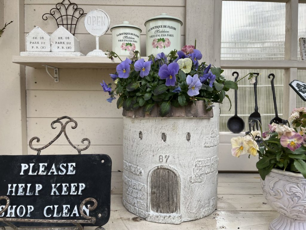 秋のマイガーデン