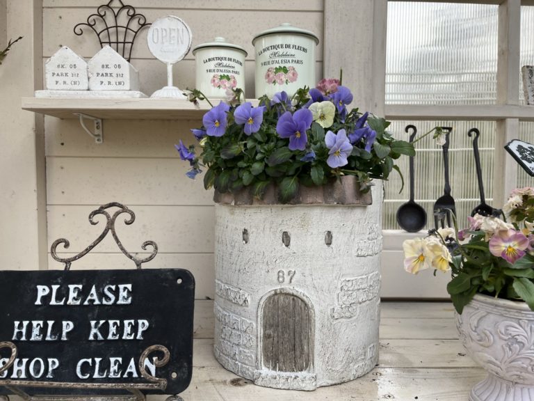 秋のマイガーデン