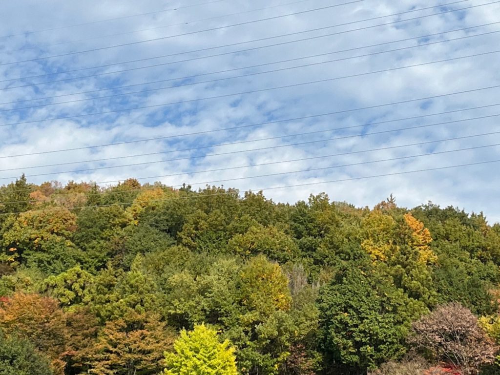 お店オープンに向けての場所探し